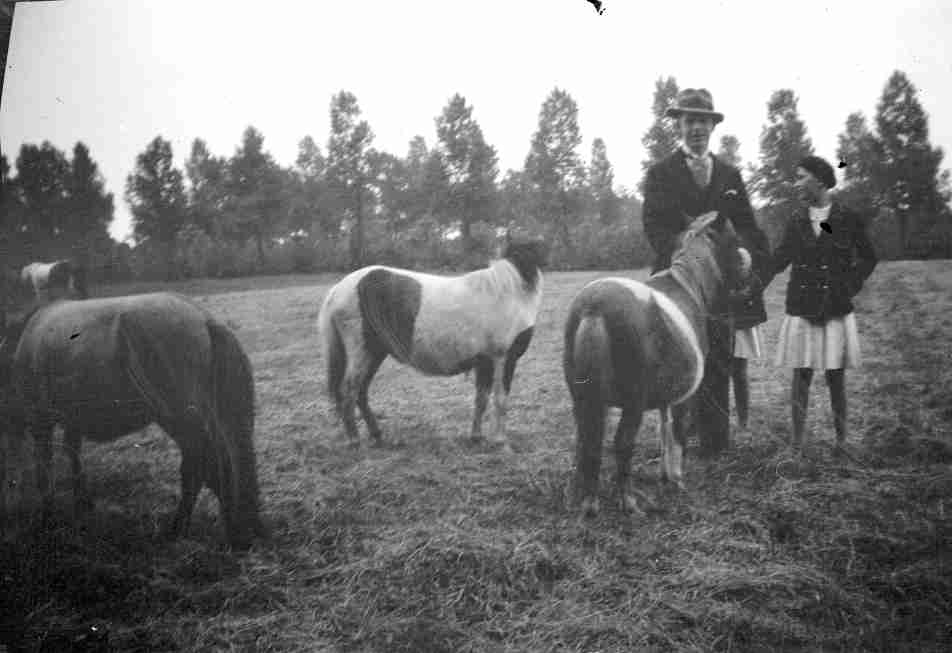 Hellenraad 1931 met pony’s